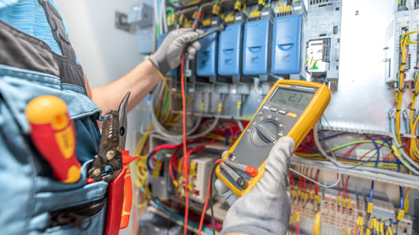 Best Electric Panel Repair  in Hurley, NM